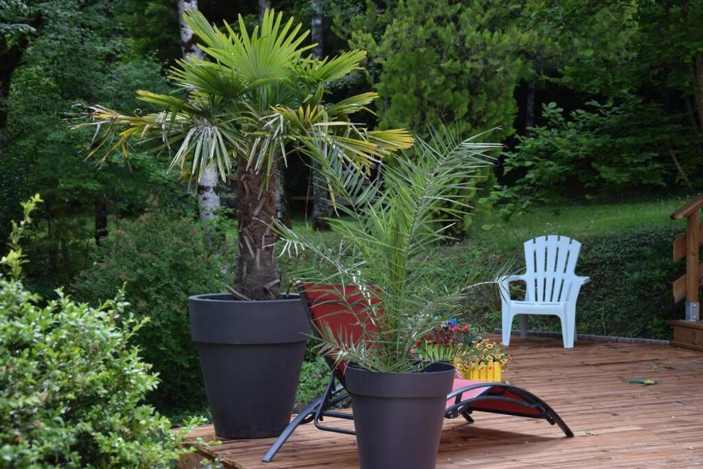 Gite Recent Au Calme Entre Champs Et Forets Perigord Vert Grand Brassac Exterior photo